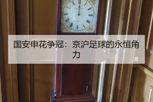 国安申花争冠：京沪足球的永恒角力